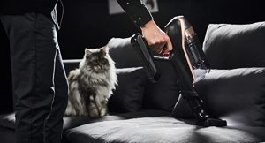 Dyson vs Rowenta avis