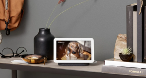 Echo Show 8 vs Google Nest Hub différence Echo Show 8 vs Google Nest Hub différence