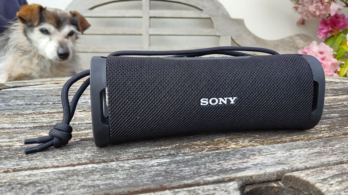 JBL Flip 7 vs Sony ULT Field 1 comparaison